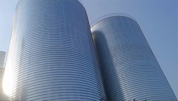 青山湖2座混凝土高架卷板仓